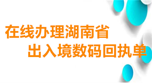 在线办理湖南省出入境数码回执单